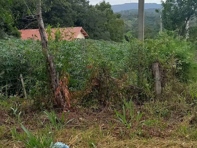 #11 - Chácara para Venda em Taquara - RS
