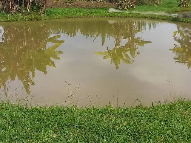 Chácara para Venda em Taquara - 5