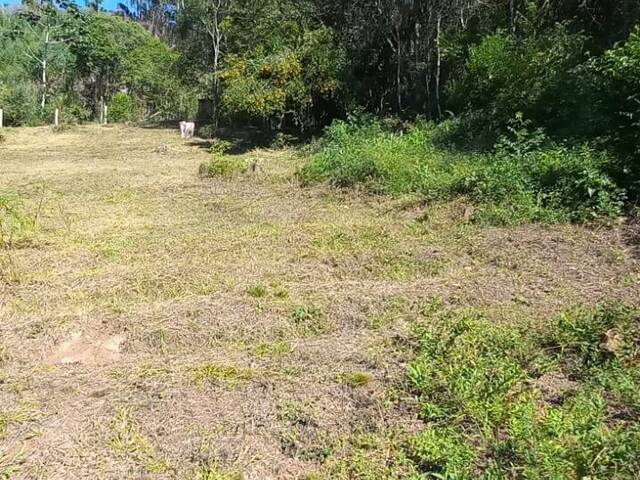Chácara para Venda em Taquara - 4