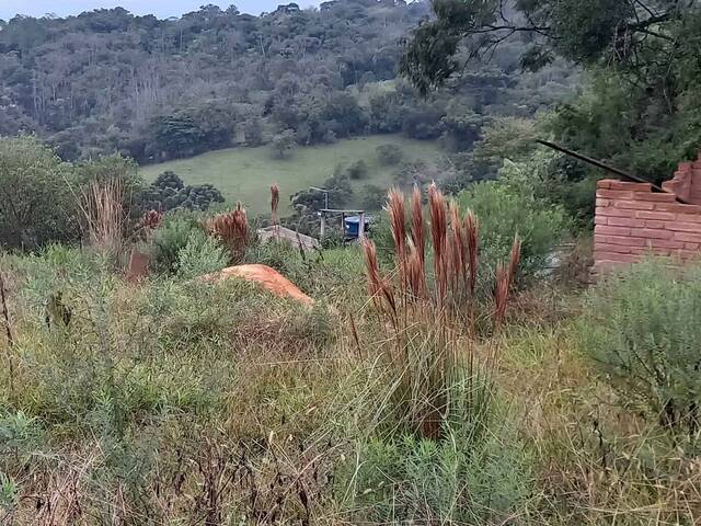 Chácara para Venda em Taquara - 4