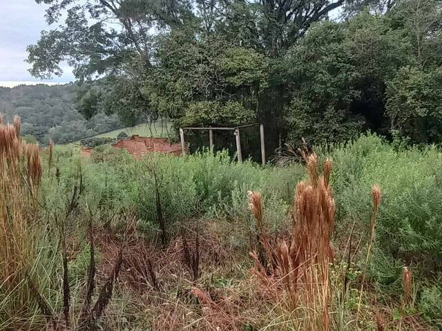 Chácara para Venda em Taquara - 5