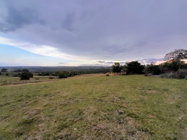 #32 - Chácara para Venda em Guaíba - RS