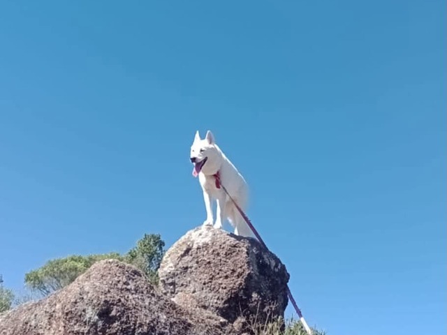 #32 - Chácara para Venda em Guaíba - RS
