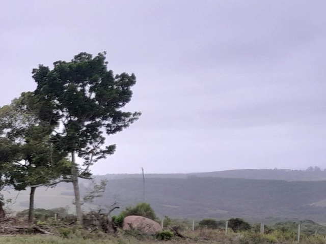 Chácara para Venda em Guaíba - 4