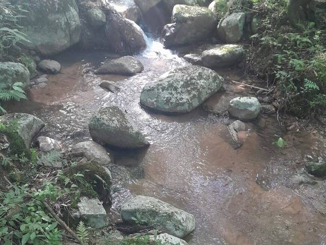 #32 - Chácara para Venda em Guaíba - RS