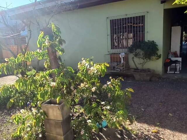 #33 - Sala para Venda em Gravataí - RS